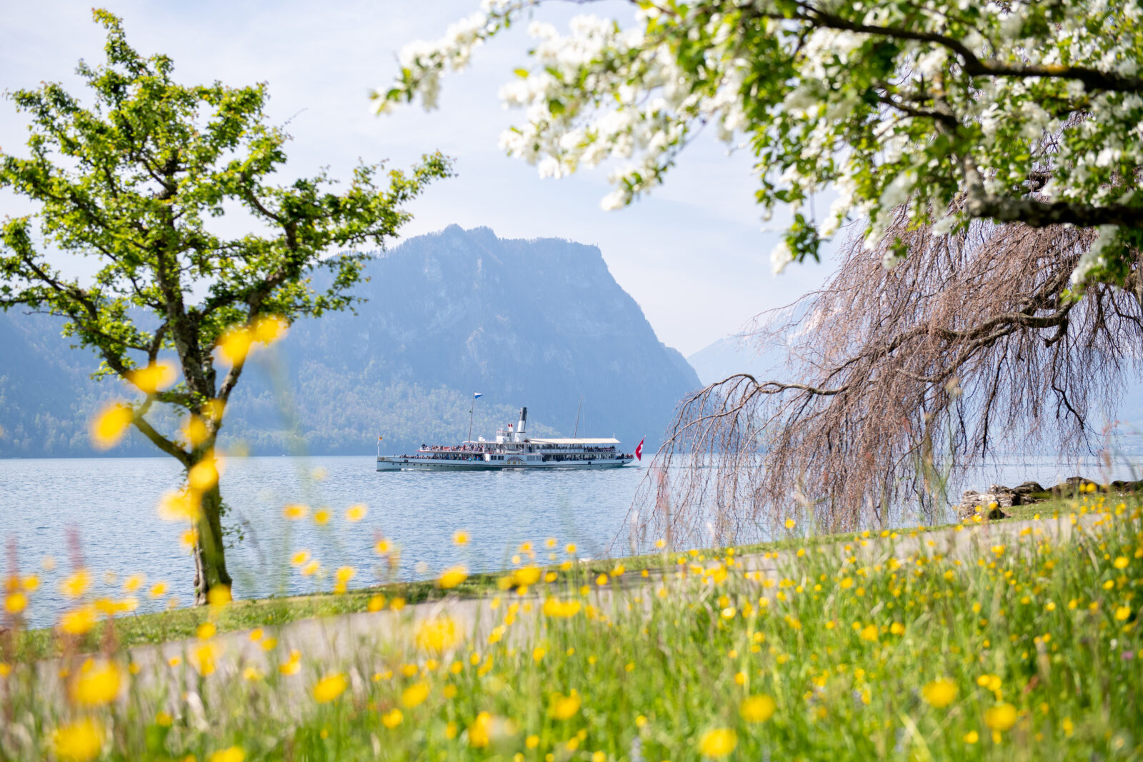 220422 DS Uri Fruehling RG87358