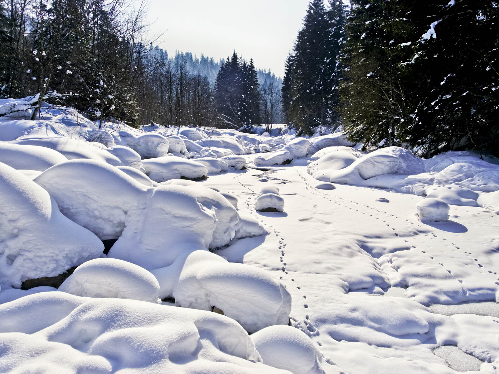 Emmental Tourismus 009