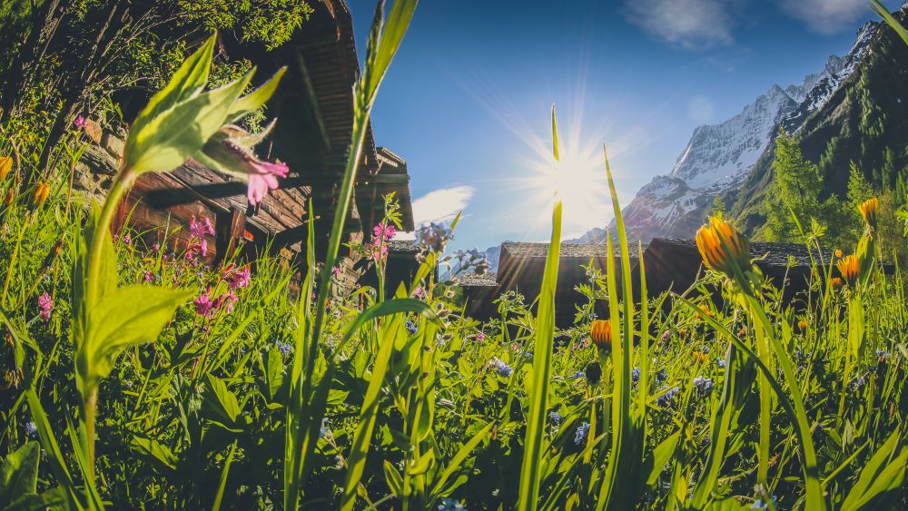 Loetschental Tourismus 003