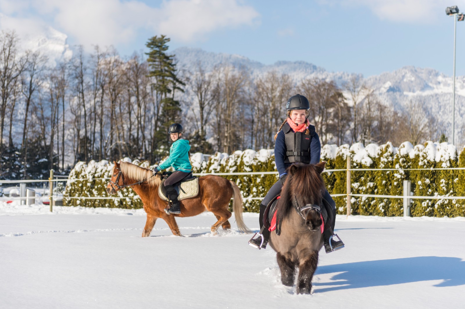 SHP Winter 2017 ZUE0031 czuerrer 1