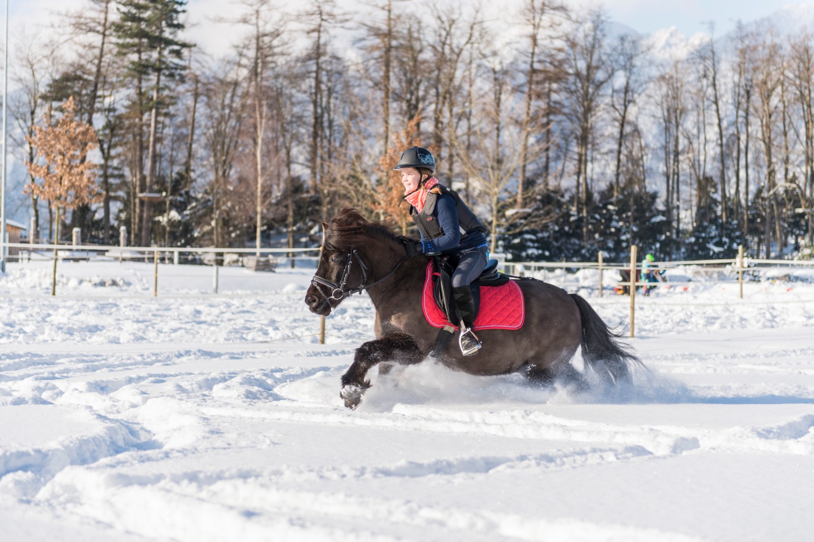 SHP Winter 2017 ZUE0111 czuerrer 1