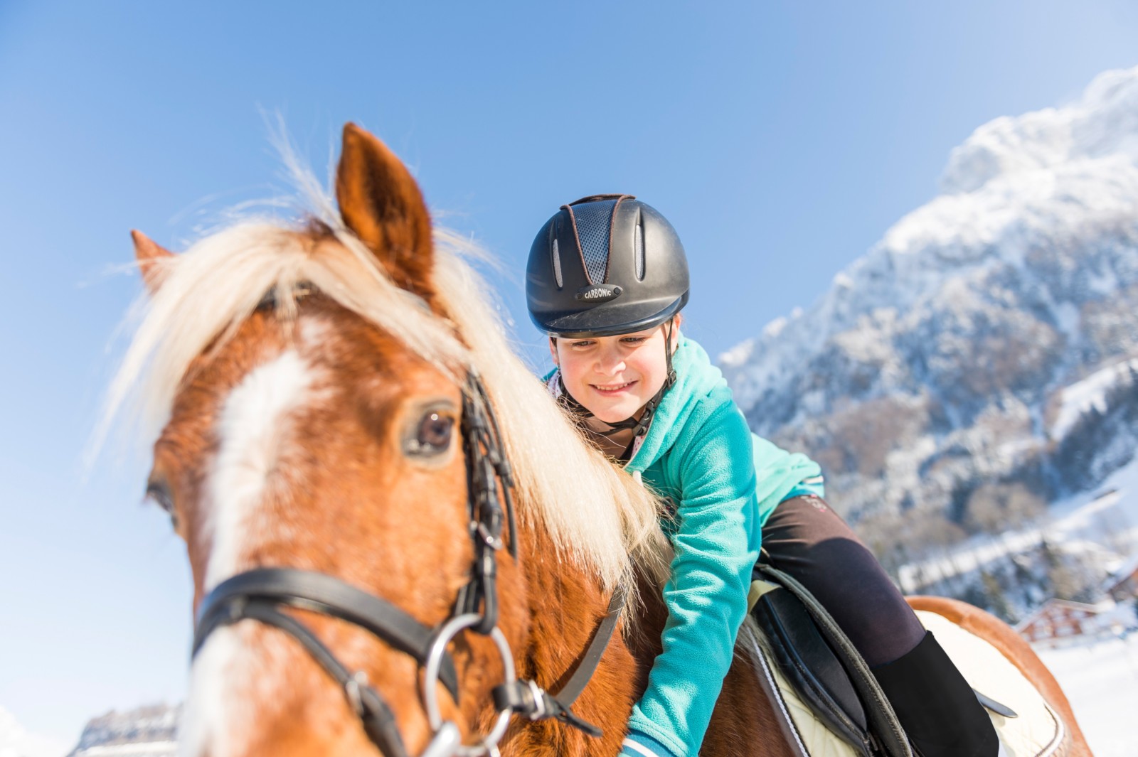 SHP Winter 2017 ZUE0198 czuerrer