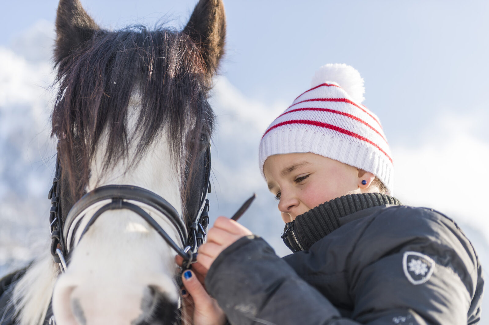 SHP Winter 2017 ZUE9925 czuerrer