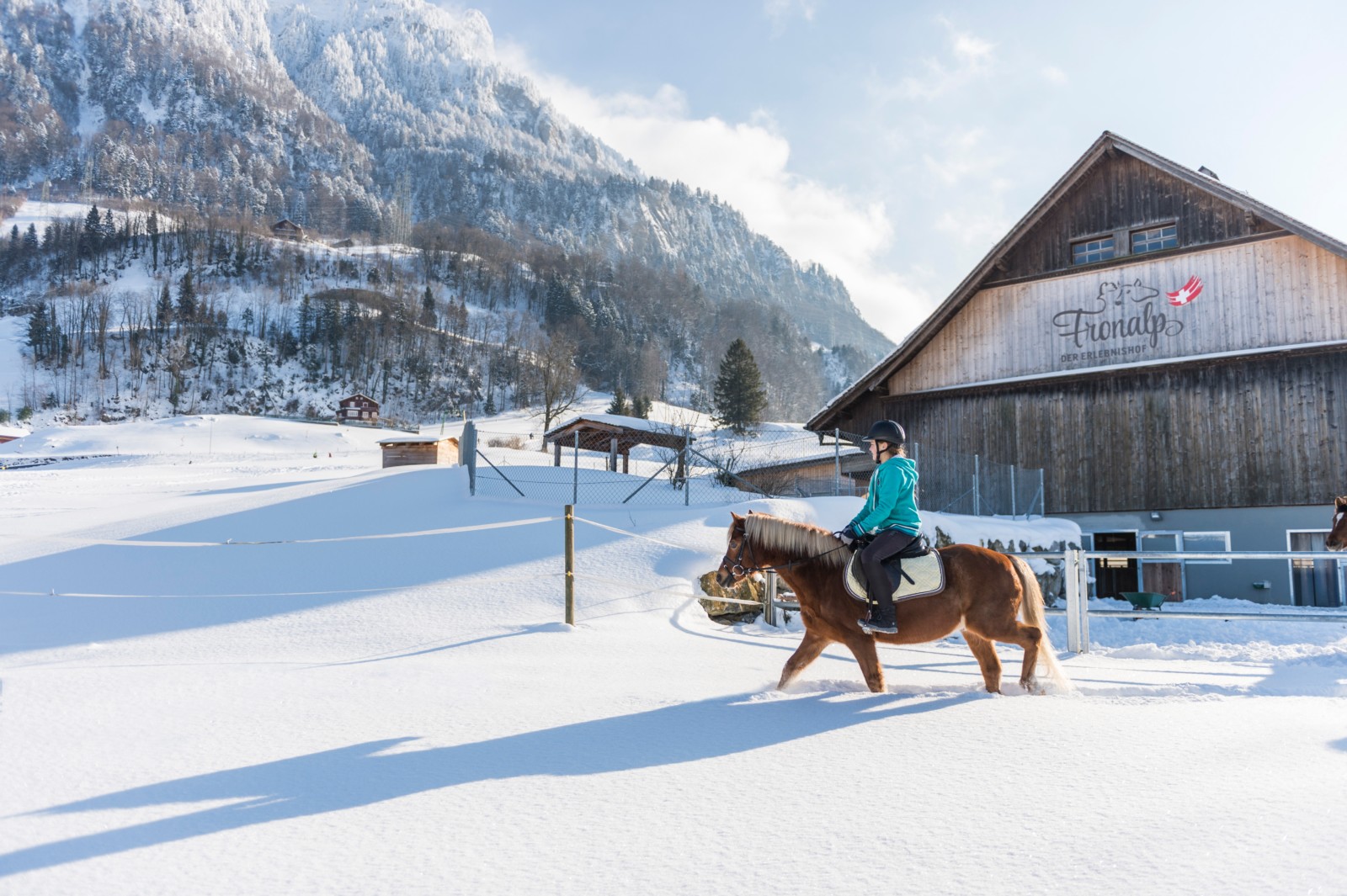 SHP Winter 2017 ZUE9969 czuerrer 1