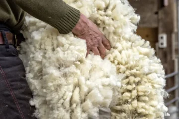 Wollabenteuer in Huttwil – Spycher-Handwerk
