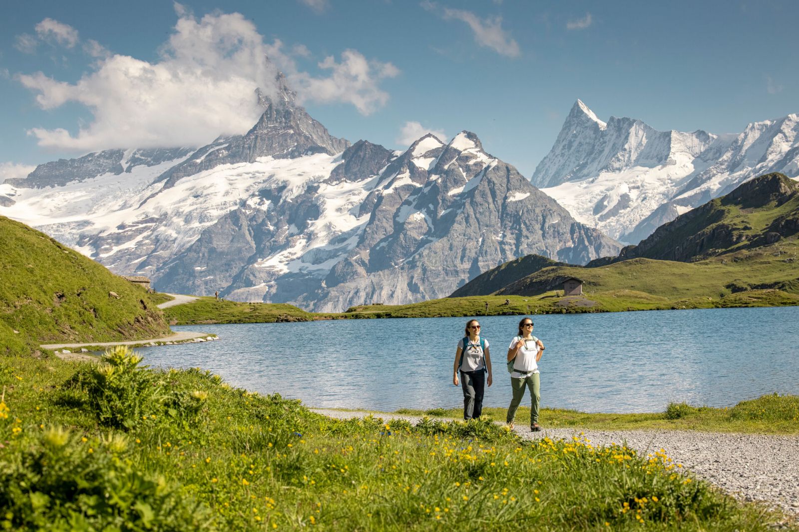 Grindelwald Sommer 01.jpg
